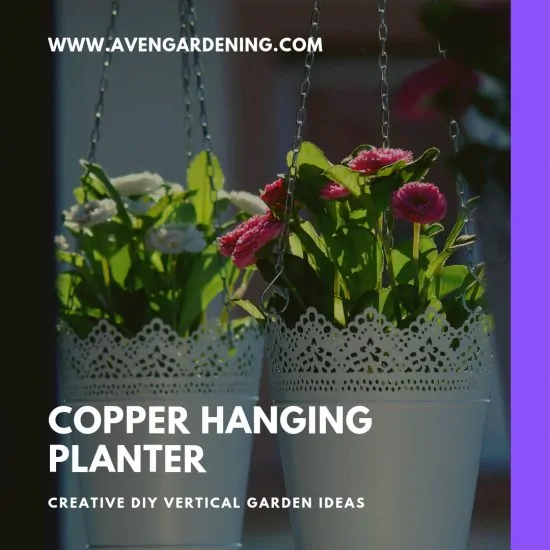 Copper Hanging Planter