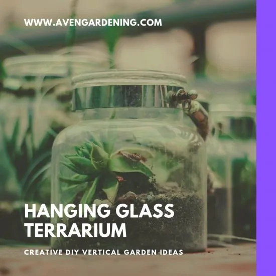 Hanging Glass 
