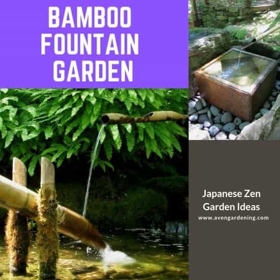 bamboo fountain in a Japanese garden