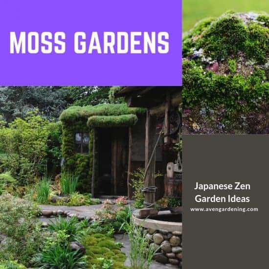 Moss gardens