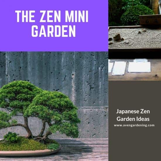 Zen mini garden