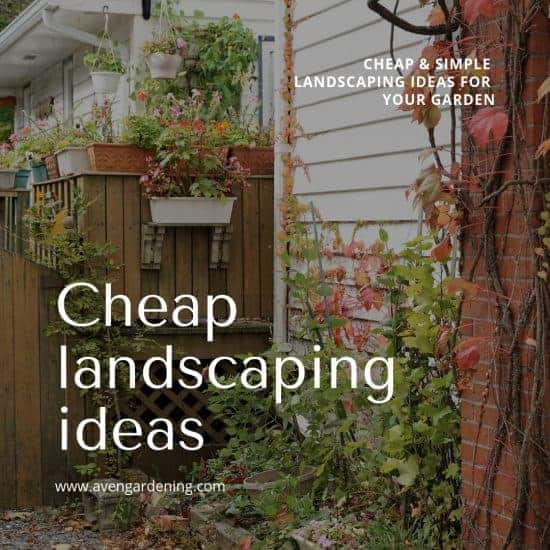 Cheap Landscaping Ideas
