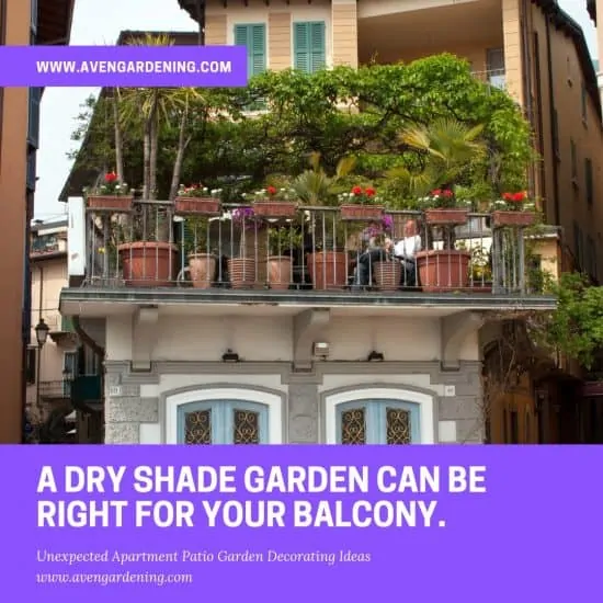 Dry Shade Garden Balcony