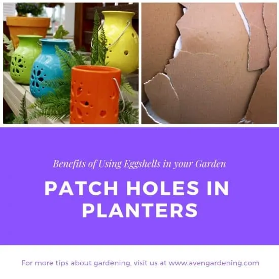 Patch Holes in Planters