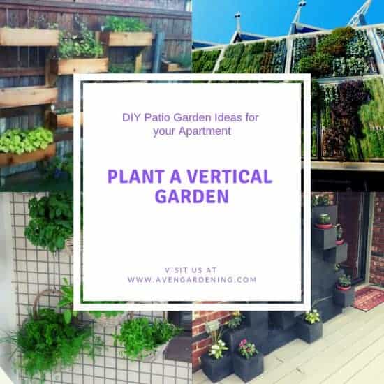 Plant Vertical Garden