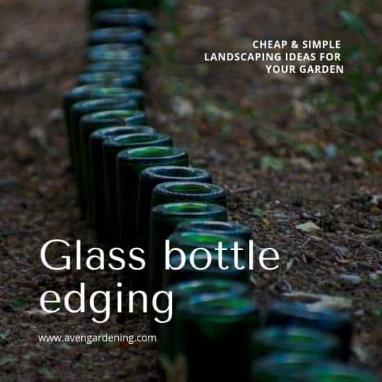 Use Glass Bottle