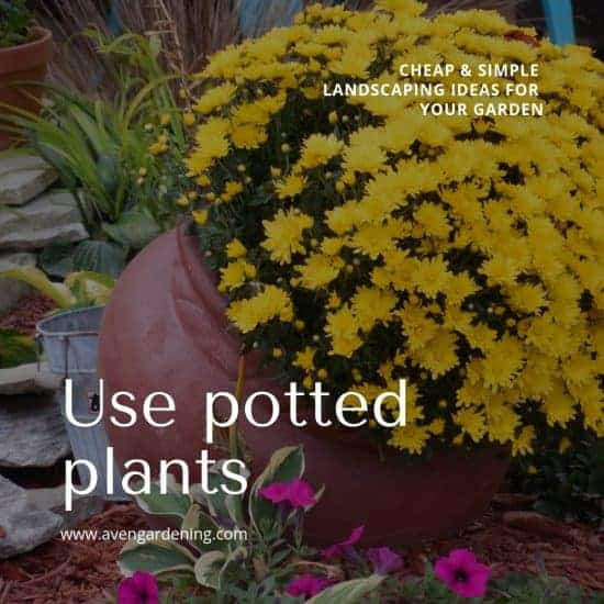 Use Potted Plants