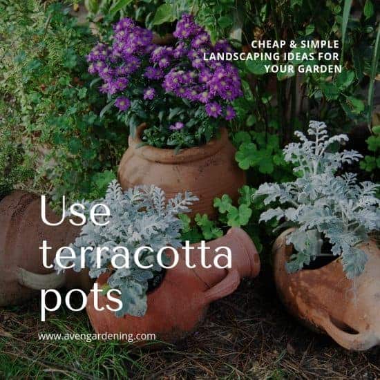 Use Terracotta Pots