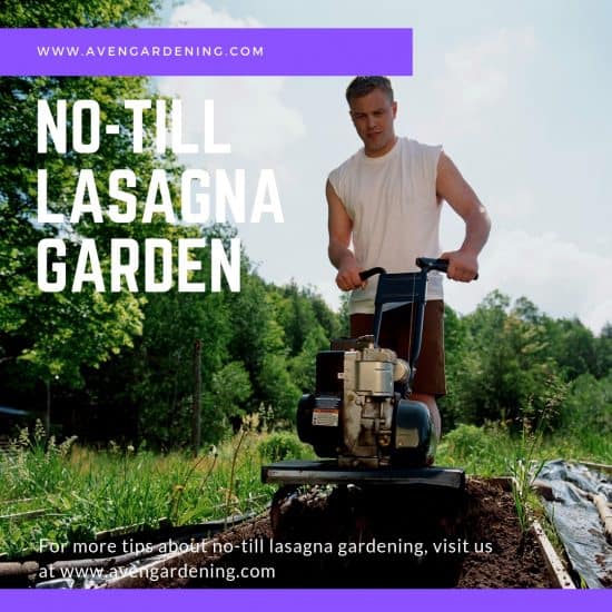 No Till Lasagna Gardening