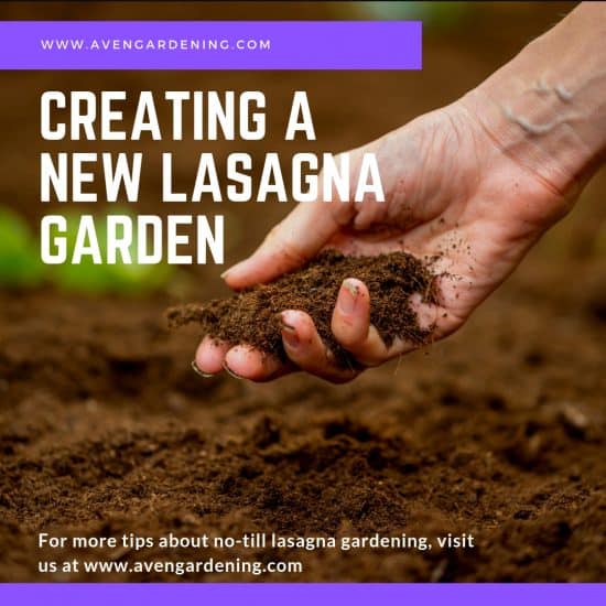 Creating a New Lasagna Garden