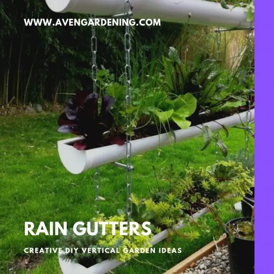 Rain Gutters