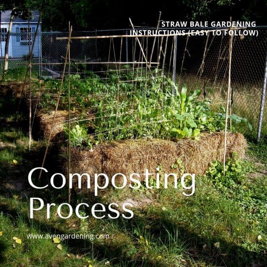 Straw Bale Gardening Instructions Easy To Follow Aven Gardening