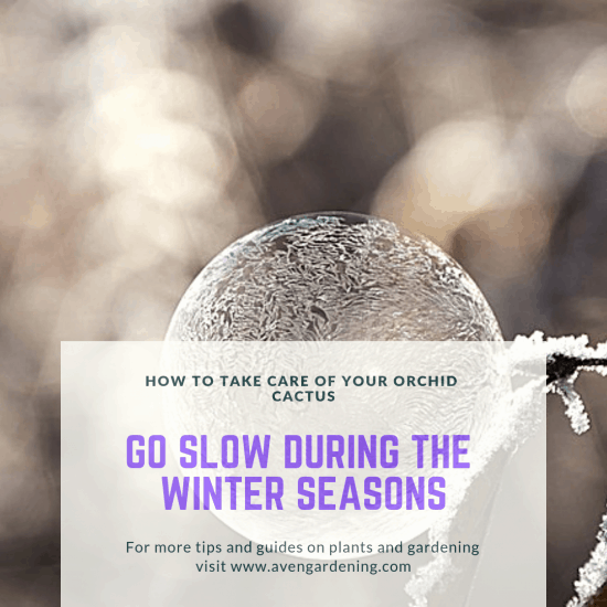 Go slow during the winter seasons