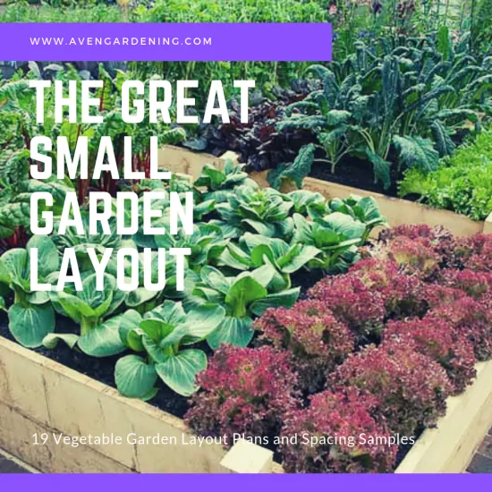 The Great Small Garden Layout