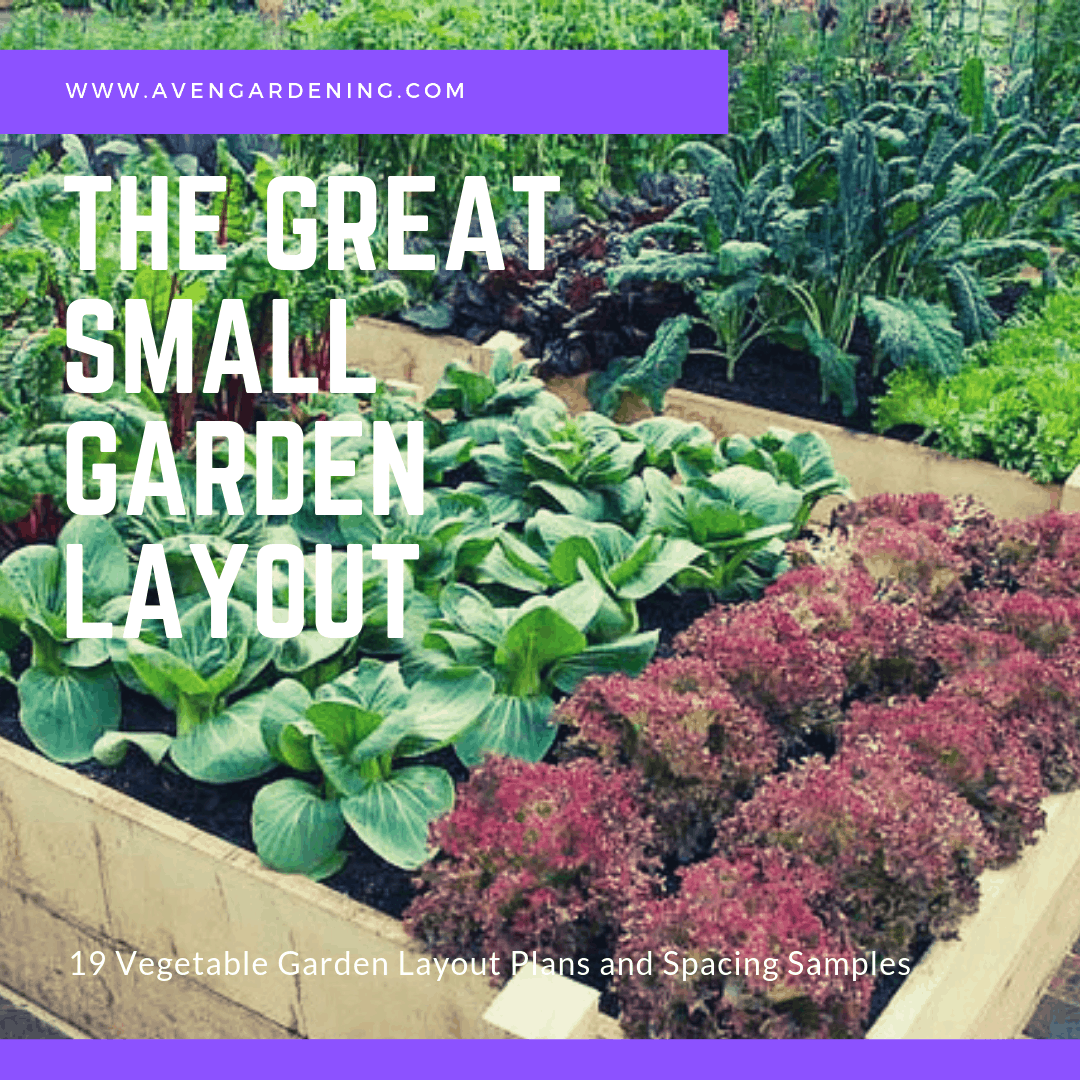 19 Vegetable Garden Layout Plans and Spacing Samples - Aven Gardening
