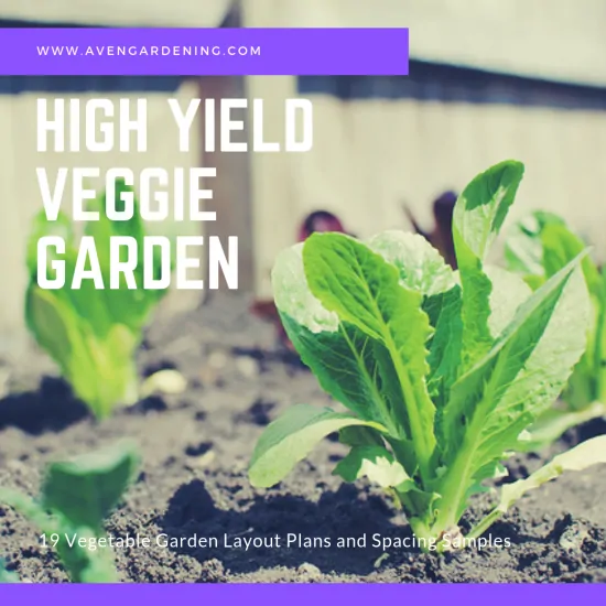 High Yield Veggie Garden 
