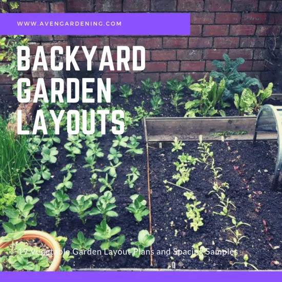 Backyard Garden Layouts 