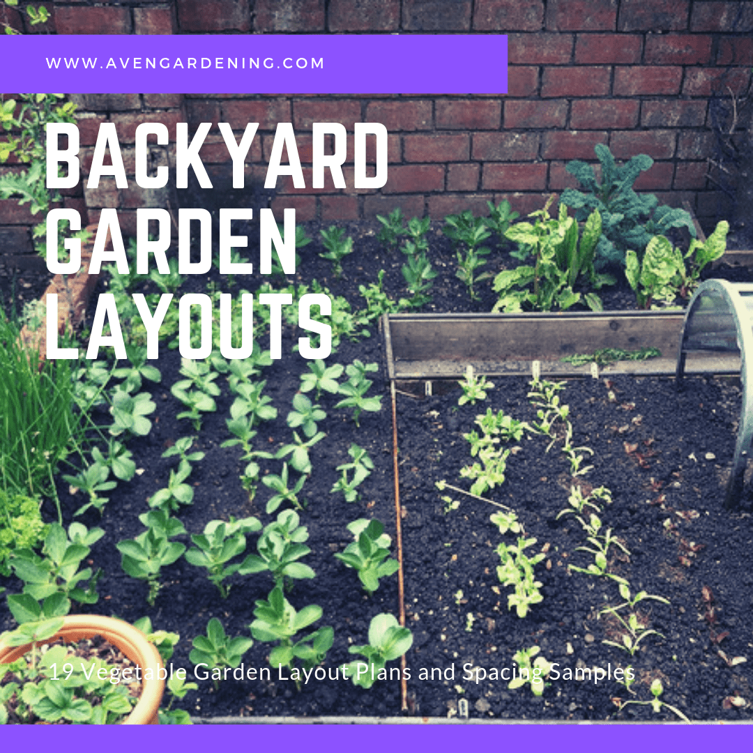 19 Vegetable Garden Layout Plans and Spacing Samples - Aven Gardening