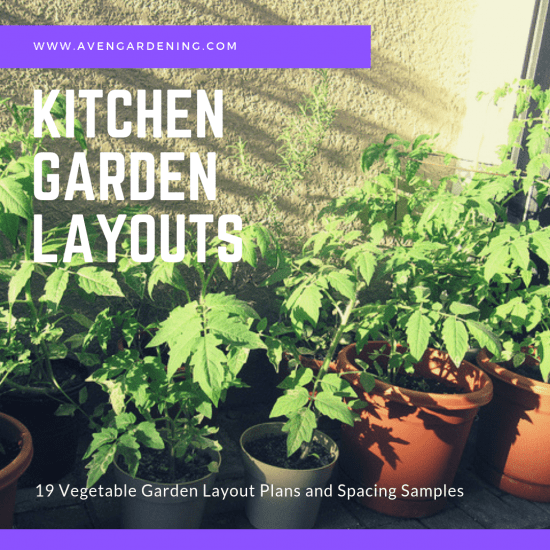 Kitchen Garden Layouts