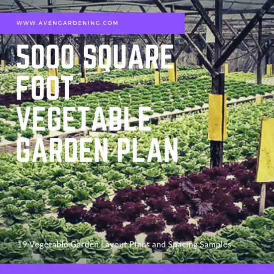 5000 Square Foot Vegetable Garden Plan