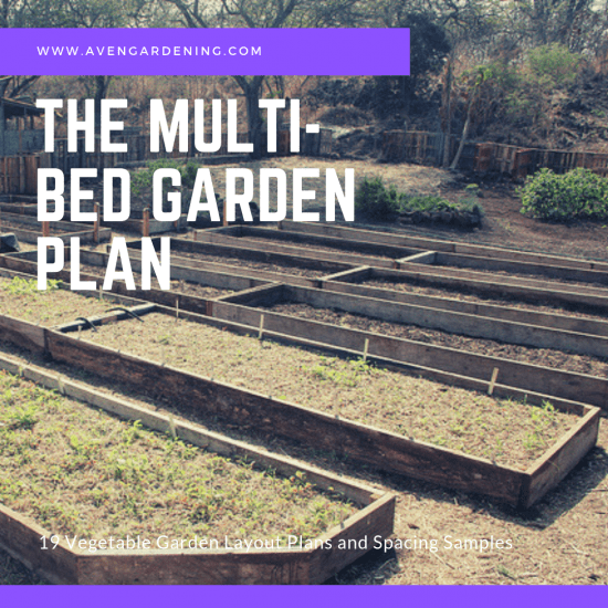 The Multi-Bed Garden Plan