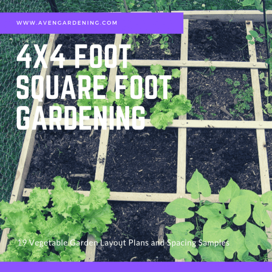 4x4 Foot Square Foot Gardening