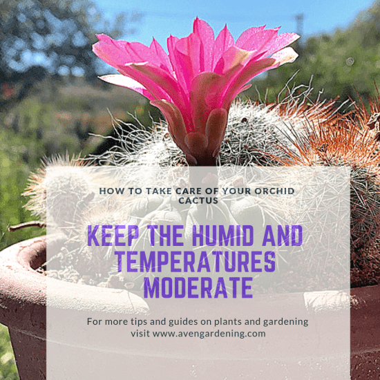Keep the humid and temperatures moderate