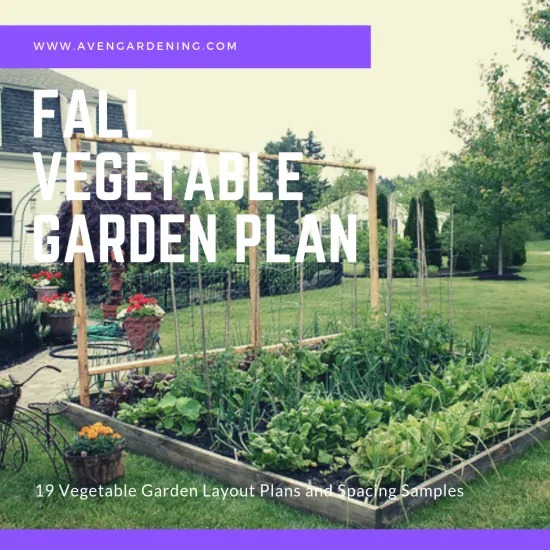 Fall Vegetable Garden Plan 