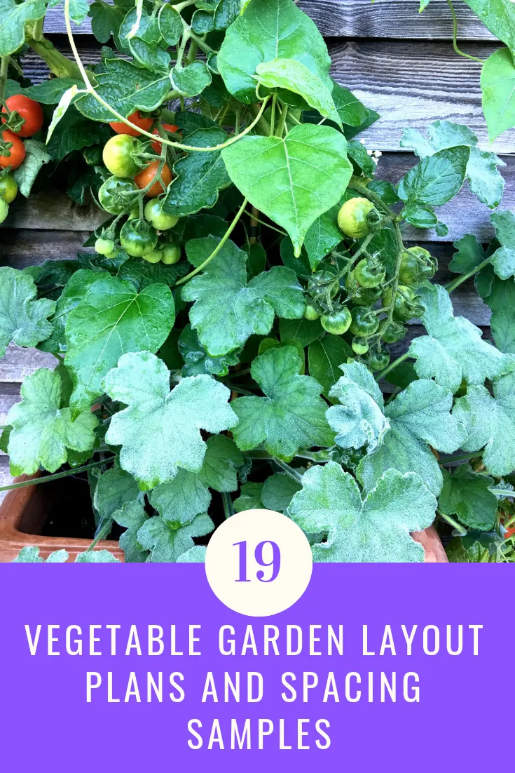 19 Vegetable Garden Layout Plans and Spacing Samples