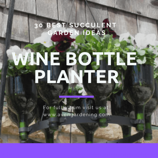Wine Bottle Planter