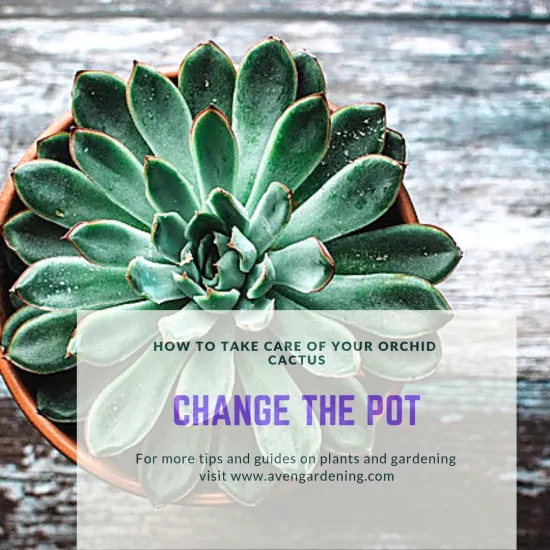 Change the pot