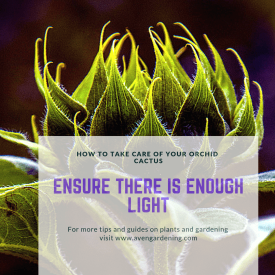 Ensure there is enough light