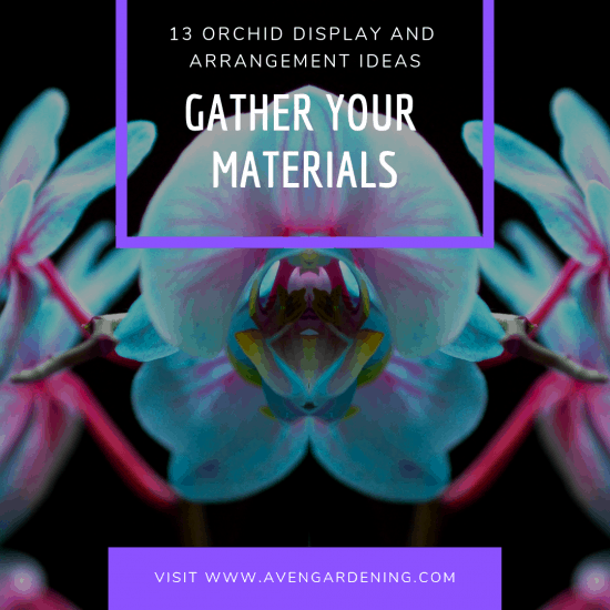  Gather your Materials 