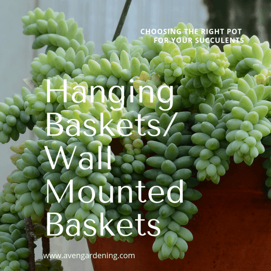Hanging Baskets / Wall Mounted Baskets