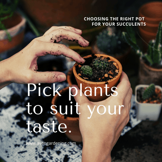 Pick plants to suit your taste.