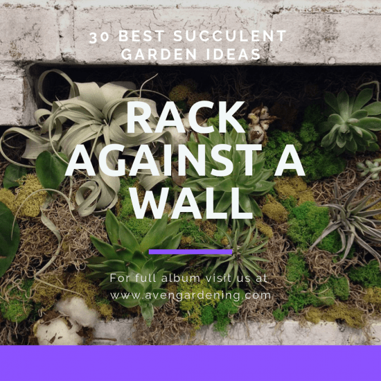 Rack Against a Wall
