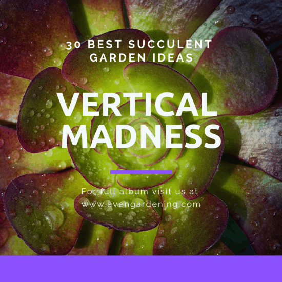 Vertical Madness