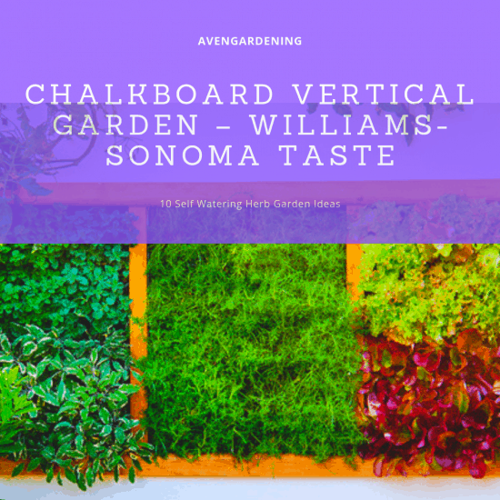Chalkboard Vertical Garden – Williams-Sonoma Taste