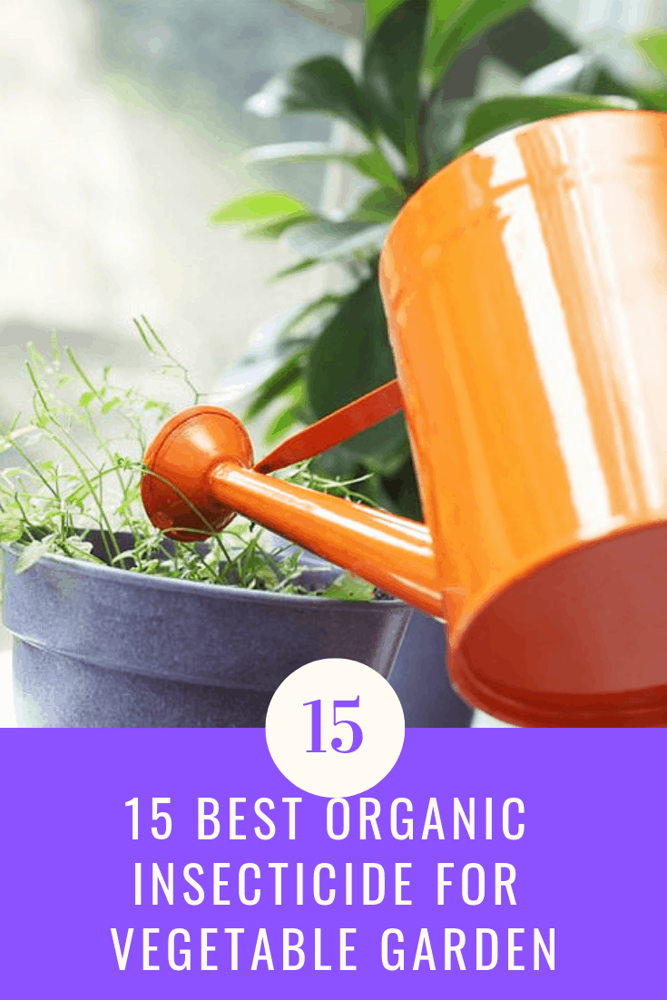 15 Best Organic Insecticide For Vegetable Garden Aven Gardening
