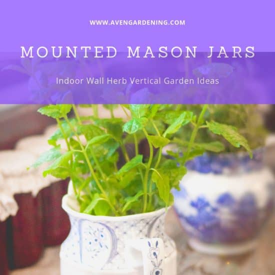 Mounted Mason Jars