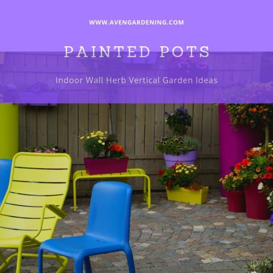 Painted Pots