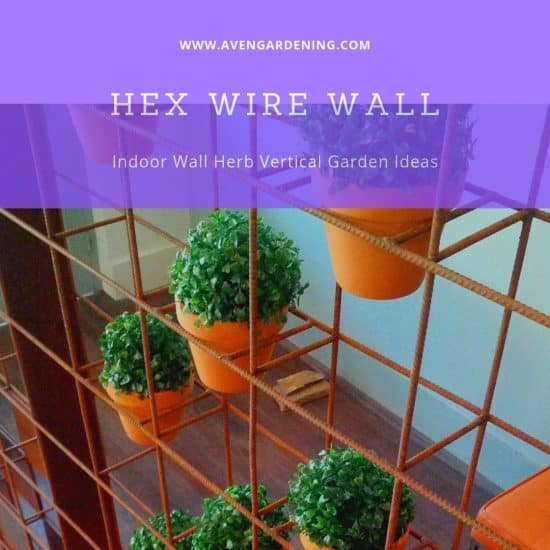Hex Wire Wall