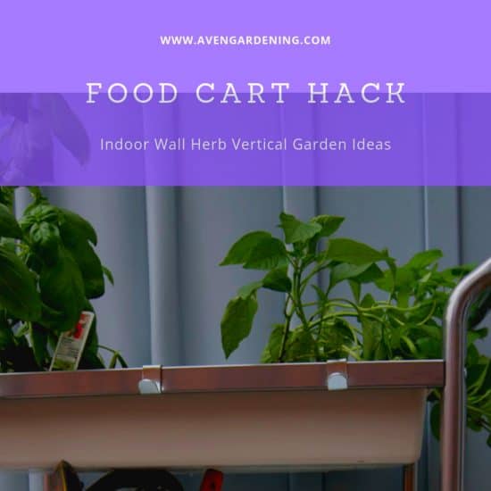 Food Cart Hack