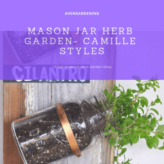 Mason Jar Herb Garden- Camille Styles