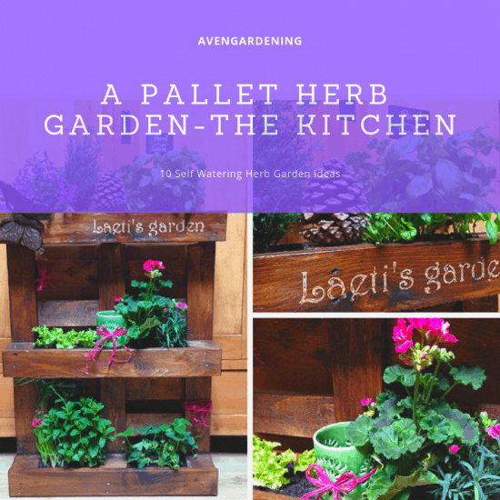 A Pallet Herb Garden-The Kitchen