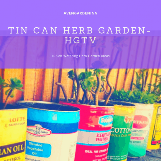 Tin Can Herb Garden- HGTV 