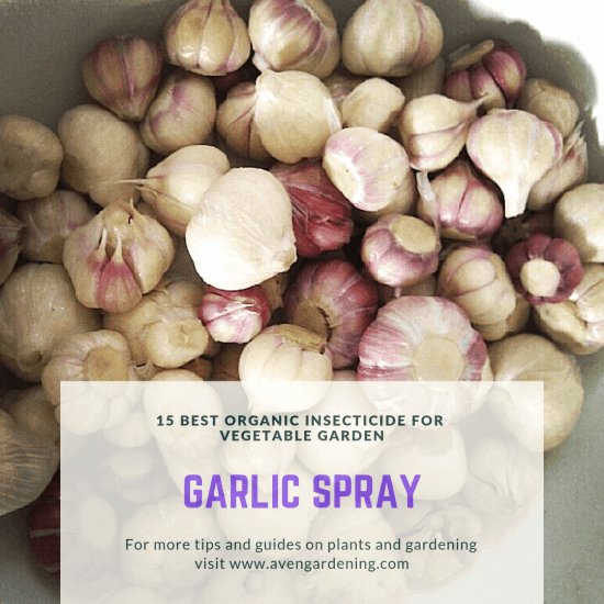 garlic spray