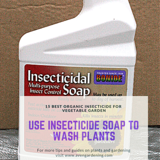 Use insecticide soap to wash plants