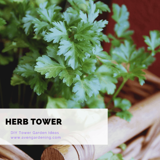 Herb Tower