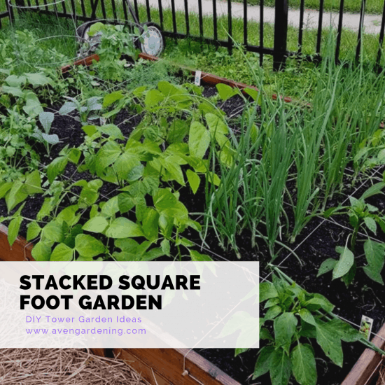 Stacked Square Foot Garden